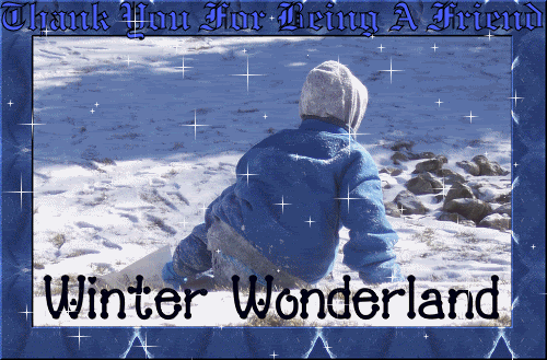 Winter Wonderland Pic
