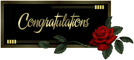 Congratulations With Red Rose