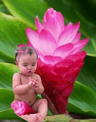 Cute Baby Glitter Image