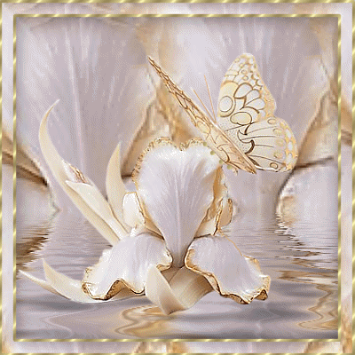 Golden White Butterfly