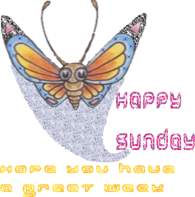 Happy Sunday Glitter Butterfly