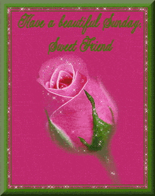 Have A Beautiful Sunday  Rose Image