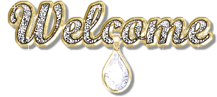 Welcome Bling Image