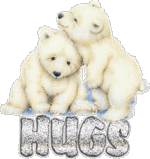 Cute Teddy Bear Hugs 