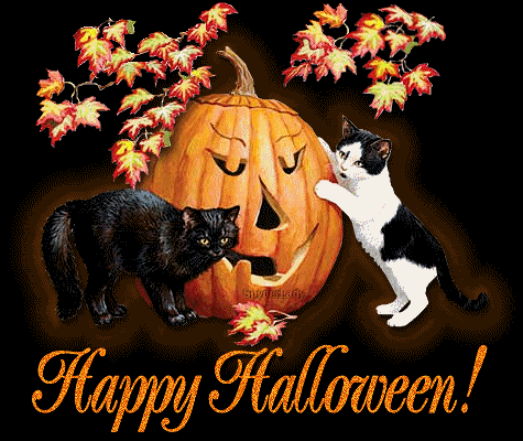 Awesome Happy Halloween Cats Picture