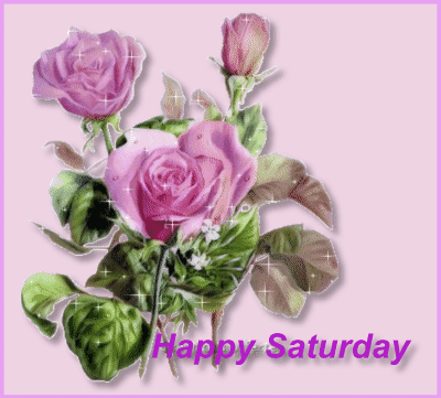 Happy Saturday Sparkling Pink Rose