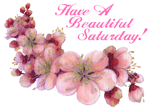 Have A Beautiful Saturday Graphic