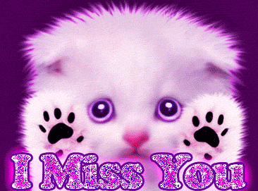 I Miss You Cat