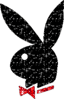 Playboy Logo Graphic