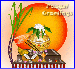 Pongal Greetings For You Graphic