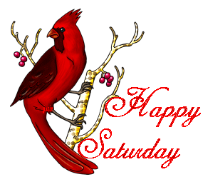 Red Bird Happy Saturday Glitter