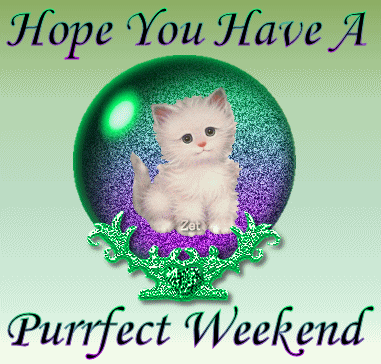 Hope You Have A Purrfect Weekend