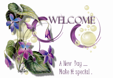 Welcome - A New Day MAke It Special-DG123288