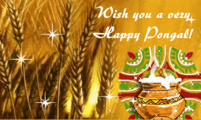 Wish You A Joyous Pongal-DG123354