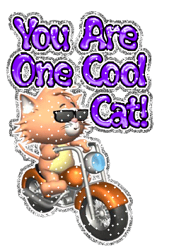 You Are One Cool Cat-DG123381