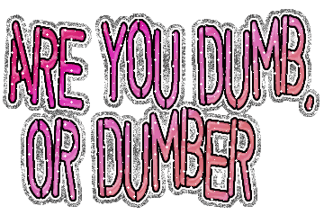 Are You Dumb Or Dunmber