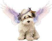 Cute Puppy Angel Glitter