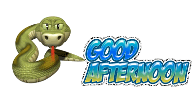 Good Afternoon With Snake