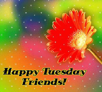 Happy Tuesday Friends !