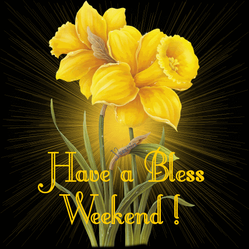 Have A Bless Weekend Yellow Lily Graphic