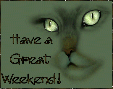 Have A Great Weekend Cat Face Graphic