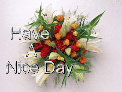 Have A Nice Day - Image