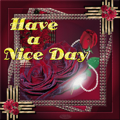 Have A Nice Day - Pic