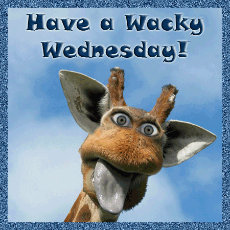 Have A Wacky Wednesday !