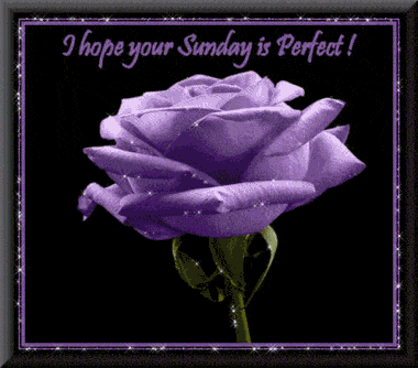 Hope Your Sunday Is Perfect !
