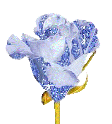 Lovely Image Of Flower