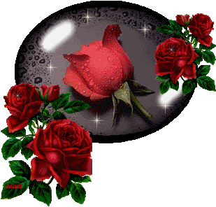 Lovely Picture Of Red Rose Flower