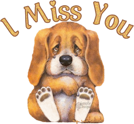 Puppy Crying – Miss You Graphic