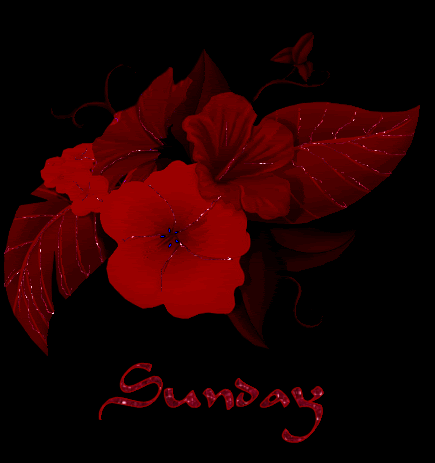 Red Flower Sunday Glitter