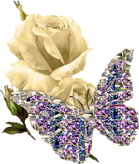 Rose And Butterfly Image