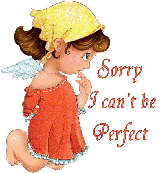 Sorry I Cant Be Perfect