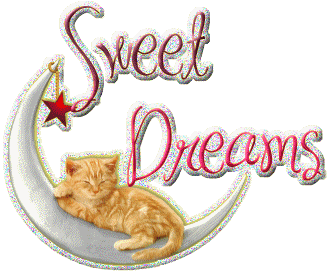 Sweet Dreams Cat Glitter