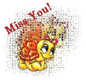 Tortoise – Miss You
