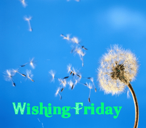 Wishing Friday