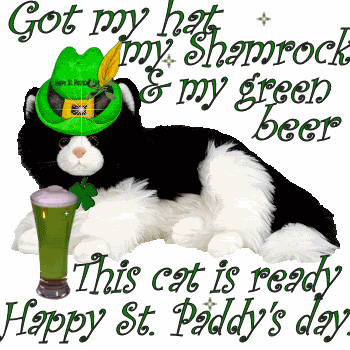 Got My Hat My Shamrock & My Greep Beer This Cat Is Ready