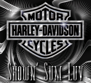 Harley Davidson Shown Sum Luv