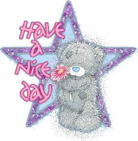Have A Nice Day Teddy Glitter
