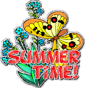Summer Time Butterfly Glitter